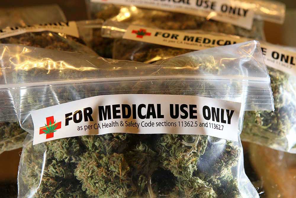 El cannabis medicinal sería aparentemente seguro para los pacientes con dolor crónico